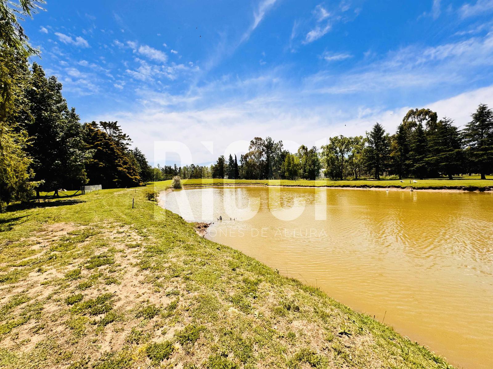 Foto Terreno en Venta en La Plata, La Plata Lote en venta | Miralagos